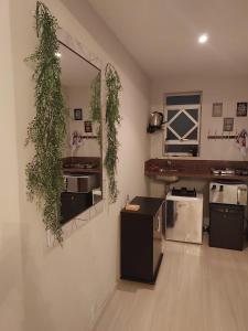 Η κουζίνα ή μικρή κουζίνα στο Local aconchegante central +4 φωτογραφίες