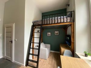 a bedroom with a bunk bed with a ladder at Apartament MINI MAX in Kielce