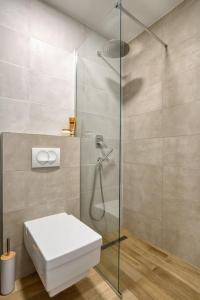une salle de bain avec toilettes et douche en verre dans l'établissement Magi-Family Rooftop Apartment Budva, à Budva 12 autres photos