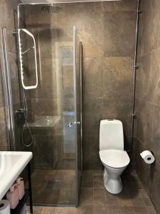 a bathroom with a shower and a toilet and a sink at Lägenheten på innergården 2 in Alingsås