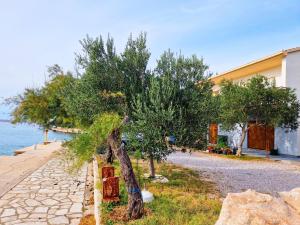 a tree next to a building next to the water at Apartman Dubravko Tribanj in Starigrad