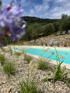 a blue pool of water with plants in the foreground at Tendù Family in Chiusanico