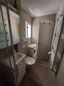 a bathroom with a toilet and a sink and a window at Apartman-Cottage Grgec in Jelsa +15 photos
