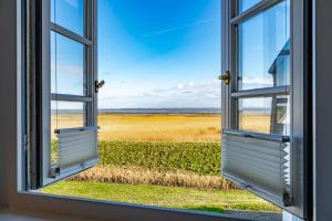 an open window with a view of a field at Söl'ring Hüs "kleiner traum rantum" in Rantum