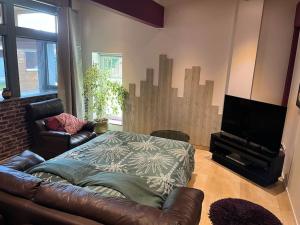 a living room with a leather couch and a television at Charmant 2 pièces in Gries