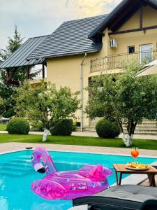 a pink inflatablevisorstroke in a swimming pool at Orchard Villa in Braşov