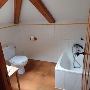 a bathroom with a toilet and a bath tub at Casa Julián in Las Navas del Marqués