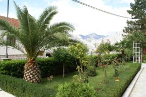 Gallery image of Apartments Radulovic in Kotor