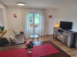 TV a/nebo společenská místnost v ubytování Pension Appartements Reithof