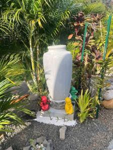 Bungalow Cactus外面的花园