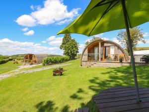 a green umbrella sitting on top of a grass field at Oak View in Llangadog