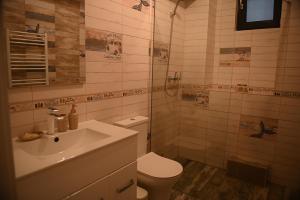 a bathroom with a toilet and a sink at Arin l Aparthotel #1 in Craiova