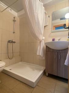 a bathroom with a shower and a sink and a toilet at Christos House in Kakopetria +14 photos