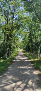 a road with trees on the sides of it at Scout-1 in Le Fay