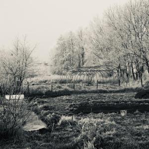 a black and white photo of a river and trees at Scout-1 in Le Fay +7 photos
