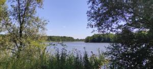 a view of a lake with trees and water at Scout-1 in Le Fay