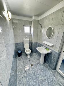 a bathroom with a toilet and a sink at Vila Cosmin in Vama Veche