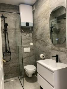 a bathroom with a toilet and a glass shower at LUXURY ROOMS BURE in Murter