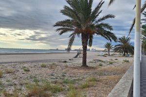 Naturlandskabet i nærheden af lejligheden