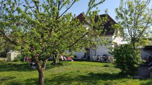 a white house with a tree in the yard at Maison LES 3 ROSES in Wolfisheim