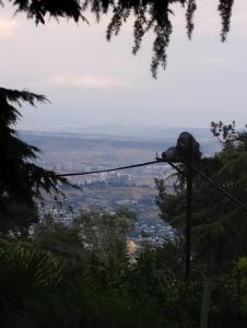 Fotografie z fotogalerie ubytování Sweet Home Near Mtatsminda Park v destinaci Okrokana