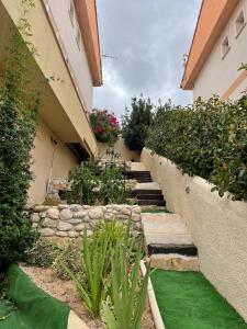 Zahrada ubytování Loft Montepino