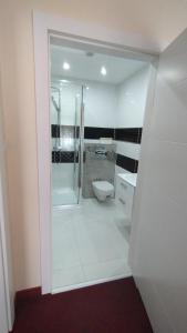 a white bathroom with a shower and a toilet at u Reja in Nagłowice