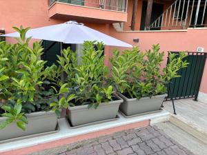 Zahrada ubytování Casa vacanza Scala dei Turchi