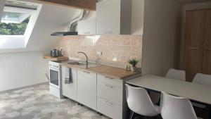 Kuchyň nebo kuchyňský kout v ubytování Orličky Apartments