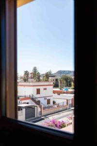 Billede fra billedgalleriet på Surf Escape Poetto i Cagliari