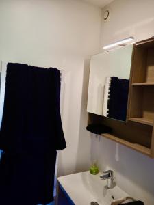 une salle de bain avec un lavabo et un miroir dans l'établissement Udée belle vue, à Gan 1 autre photo