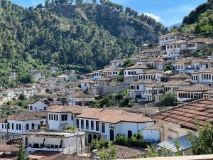 un pueblo en una colina con casas y árboles en EK-Center Vila Berat, en Berat