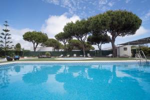 a large swimming pool with trees in the background at Hotel Albaida Nature in Mazagón