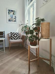 Photo de la galerie de l'établissement Bright and charming apartment from 1878 with view to the new National Museum in Oslo, à Oslo 57 autres photos