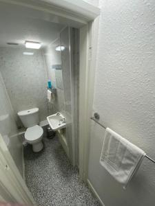 a small bathroom with a toilet and a sink at Farina No2, Sea view apartment sleeping 4 guests in Bridlington