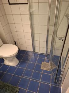 a blue tiled bathroom with a toilet and a shower at Bright and charming apartment from 1878 with view to the new National Museum in Oslo in Oslo +57 photos