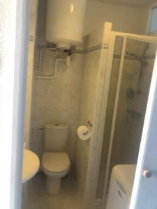a small bathroom with a toilet and a shower at Seafront studio in Algajola