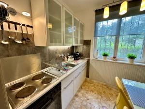 Kuchyňa alebo kuchynka v ubytovaní Pálkövei 65. Apartman
