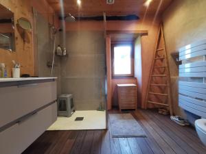 a bathroom with a shower and a sink and a ladder at Les IRIS des Rieux in Sallelles +31 photos