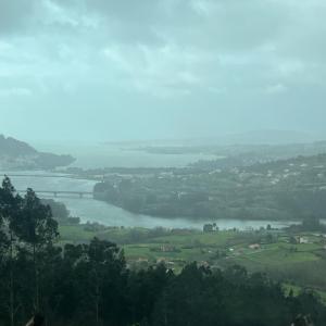 a view of a river from a hill with trees at Pensión montoxo in Cedeira