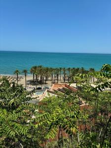 a view of a beach with palm trees and the ocean at Casa Dalia - One bedroom flat in Torremolinos