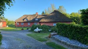 Zahrada ubytování Store Diget Bed & Breakfast