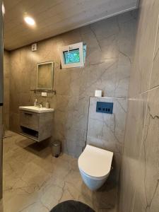 a bathroom with a toilet and a sink at Pauna Puhkemajad in Tori