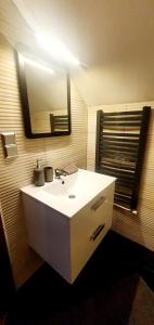a bathroom with a white sink and a mirror at Noclegi Szczawnica in Szczawnica +21 photos