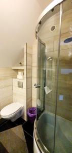 a bathroom with a shower and a toilet and a sink at Noclegi Szczawnica in Szczawnica
