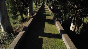 a brick path with trees and grass in a park at Parco Statella in Montelaguardia