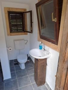 Vannituba majutusasutuses Rtanj,Vrmdza,,Hotel sa hiljadu zvezdica"