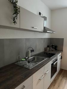 a kitchen with a sink and a counter top at Apartment Ute - Gemütliche und moderne Ferienwohnung in der Innenstadt in Pasewalk +14 photos