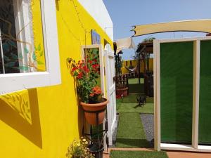 a yellow building with a potted plant on the side of it at Shangrilá Guesthouse in Caleta De Fuste