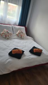 Fotografie z fotogalerie ubytování Top Apartament v destinaci Namysłów
